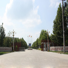 Shandong Buoy & Pipe Industry Co., Ltd.
