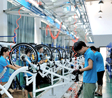 Austronext (Xiamen) Trading Co., Ltd.