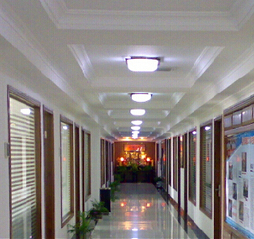 Ningbo Fenghua Gogo Automatic Trading Company Limited