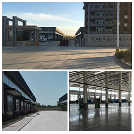 Hebei Kaixuan Seals Co., Ltd.