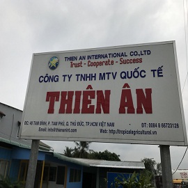 THIEN AN INTERNATIONAL COMPANY LIMITED