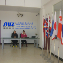 Shanghai Auman Electric Co., Ltd.