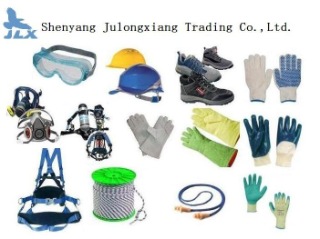 Shenyang Julongxiang Mechanical And Electrical Equipment Co., Ltd.
