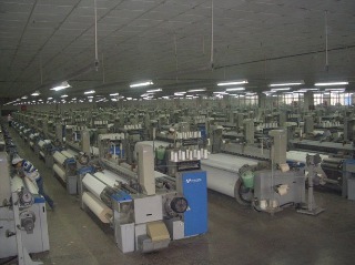 Wujiang Danlu Textile Co., Ltd.