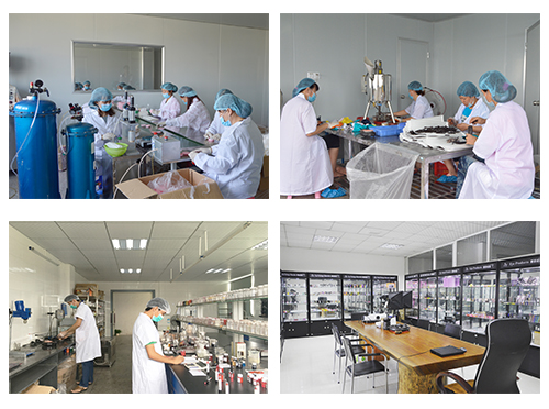 Kaiya (Shantou) Cosmetics Co., Ltd.