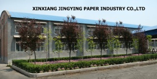 Xinxiang Jingying Paper Industry Co., Ltd.