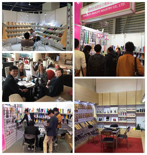Yangzhou Maxlife I&E Co., Ltd.