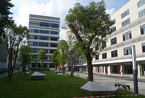 Dongguan Redemaple Electronics Co., Ltd.