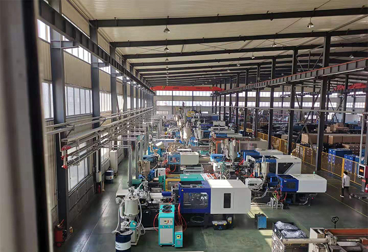 Shandong Rise Industry Co., Ltd.