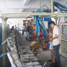 Guangzhou Safeet Shoes Co., Limited