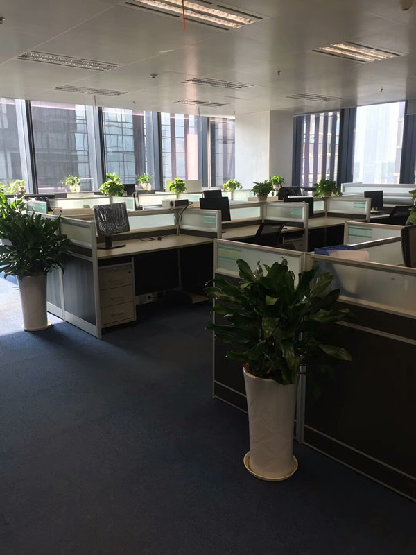 Chongqing Agi Group Co.,ltd