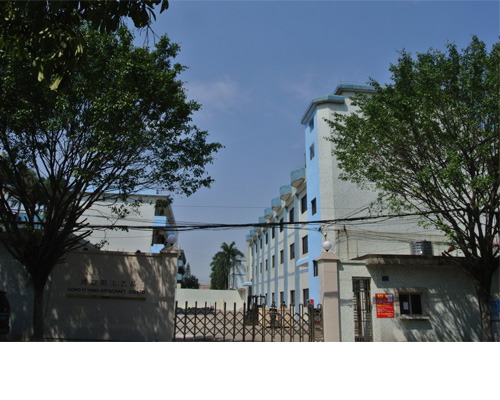 Shenzhen Hong Yi Yang Art & Craft Co., Ltd.