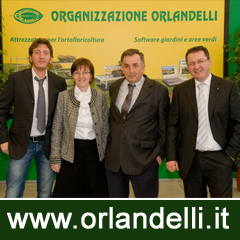 ORGANIZZAZIONE ORLANDELLI S.R.L.