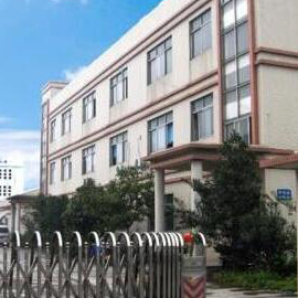 Shenzhen Szwholesaler Technology Limited Company