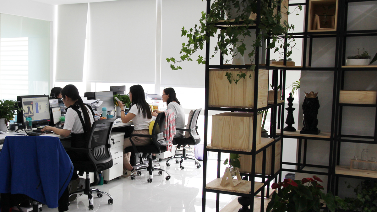 Hangzhou Standard Mayo Industrial Co., Ltd.