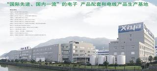 Xinya Electronic Co., Ltd.