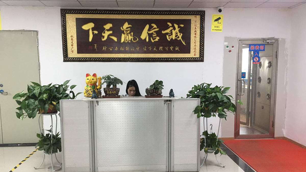 Shenzhen Aiullain Trading Co., Ltd.