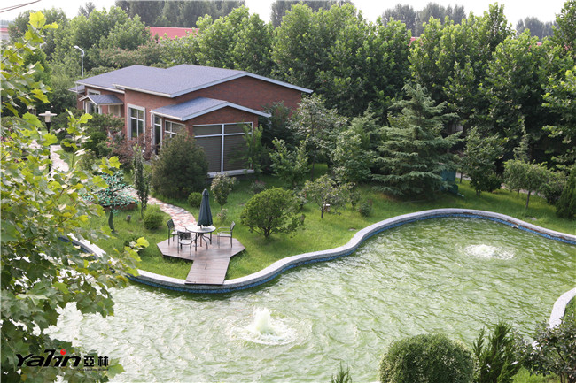 Shandong BCN Sport Industry Co., Ltd.