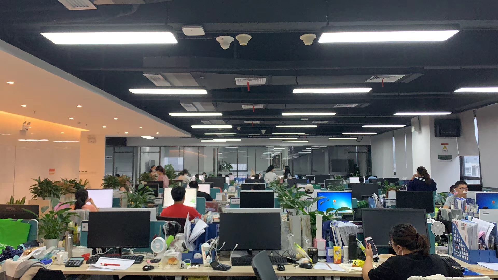 Shenzhen True Orange Tech  Co., Ltd.