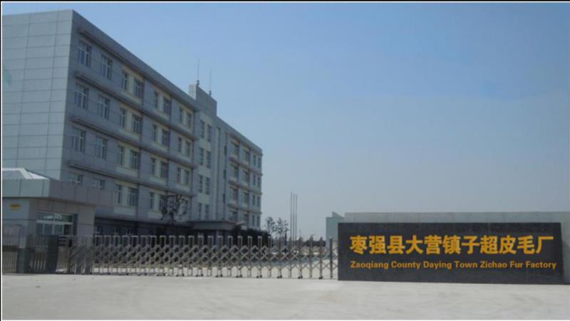 Zaoqiang County Daying Town Zichao Fur Factory