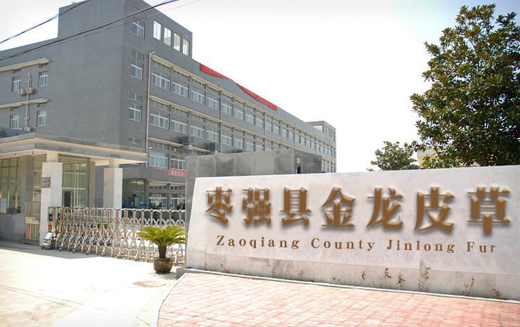 Zaoqiang County Daying Town Jinlong Fur Business Department