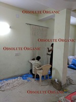 OBSOLUTE ORGANIC