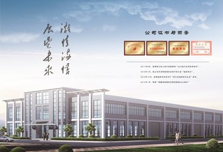 Dingzhou Huaya Imp.&Exp Trade Co., Ltd.