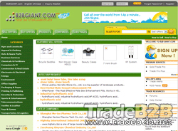 B2BGiant.com